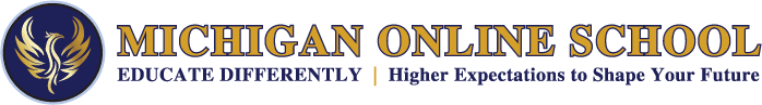 Michigan Online School